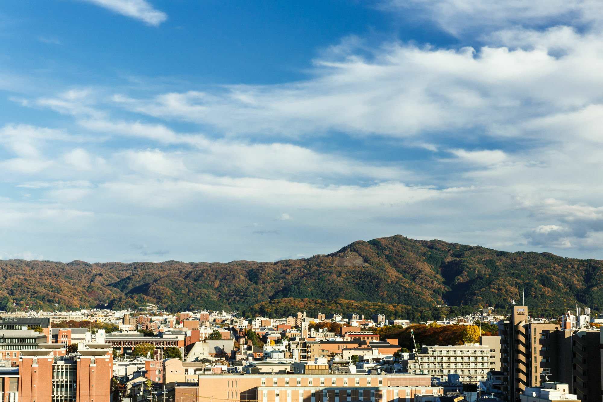 Hotel Kyoto City Hotel 3*
